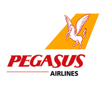 Логотип фірми ,Pegasus
